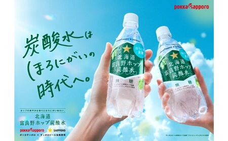 北海道 定期便 3ヵ月 連続 全3回 炭酸水 500ml × 24本 北海道富良野ホップ炭酸水 ポッカサッポロ 無糖 北海道富良野ホップ ペットボトル 炭酸飲料 炭酸 ソーダ ソーダ水 飲料 ドリンク (有)リカーショップかまだ 上富良野町