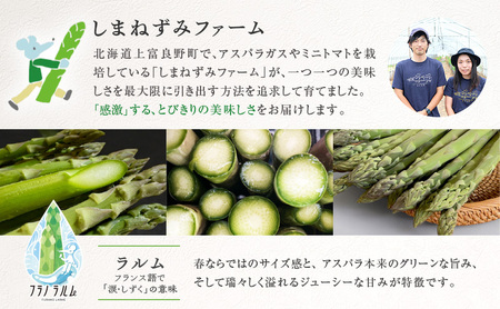 【令和8年産】 〔メディア掲載されました〕 グリーン アスパラガス 3L 400g 春アスパラ 野菜 旬 新鮮 産地直送 甘い 極太 お取り寄せ グルメ 高評価 限定 北海道 上富良野産 