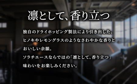 【2ヵ月連続定期便】北海道 上富良野町発祥 伝説のホップ SORACHI 1984 350ml×12缶 ソラチエース使用 サッポロ ビール クラフトビール 酒 アルコール 日用品 お酒