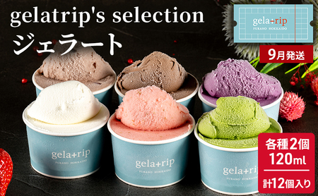 【令和8年産】北海道上富良野 野菜お肉デザートMIX上富良野満足定期便 とうもろこし ジェラート 豚肉