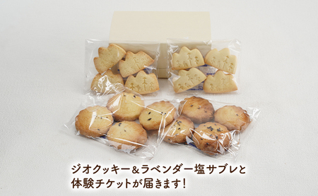 北海道 上富良野 ラベンダー サブレ ラベンダーティー 手作り 体験 ペア チケット スタジオMAMA