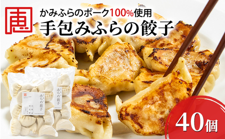 【かみふらのポーク 使用】 手包み ふらの餃子 20個入×2袋 業務用 ジャンボ サイズ 中華 冷凍 即席 食品 簡単 加工品 調理不要 おかず 手作り ふらの 北海道 上富良野町 北の恵 11,100円