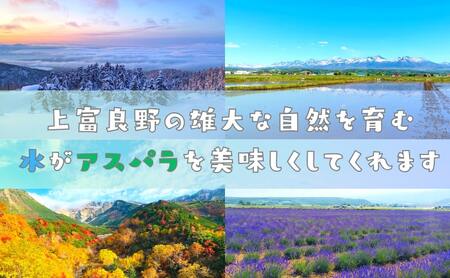 【2026年4月～発送】 北海道上富良野産 グリーンアスパラガス 太くて美味しい 2Lサイズ 1kg [ファームいむら] グリーンアスパラ アスパラガス あすぱら アスパラ 野菜 新鮮 北海道 上富良野町