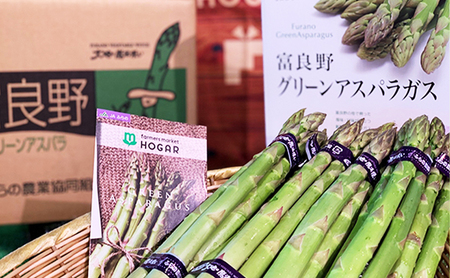 【令和8年産】アスパラガス グリーンアスパラ 1kg Lサイズ アスパラ 野菜 北海道 上富良野町 ふらの農業協同組合