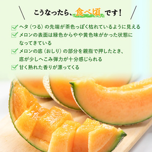 【令和8年産】ふらのメロン 赤肉 2玉 約3.2kg メロン フルーツ 果物