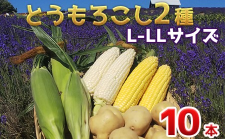 かんのファーム産 とうもろこし食べ比べ10本セット(じゃがいも付)