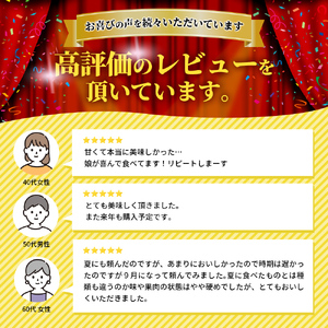 【2026年発送】ふらの 赤肉メロン 厳選 甘味 特4サイズ 2kg～2.6kg 4玉 セット ファーム富良野 メロン めろん 富良野メロン 果物 くだもの フルーツ 富良野 デザート 北海道 先行受付 北海道上富良野町 
