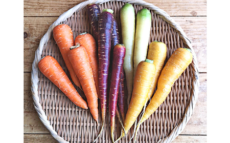 【令和8年産】 上富良野産 秋の オーガニック お野菜 セット 詰合せ 約3.5～5kg じゃがいも 根菜 有機野菜 産地直送 北海道 上富良野町 Nishio Farm