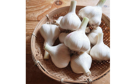 【令和8年産】 上富良野産 秋の オーガニック お野菜 セット 詰合せ 約3.5～5kg じゃがいも 根菜 有機野菜 産地直送 北海道 上富良野町 Nishio Farm