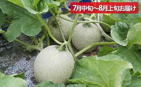 【令和8年産】先行予約 北海道 上富良野 農家スクラム スペシャル 定期便 4回発送 メロン とうもろこし トウモロコシ じゃがいも ジャガイモ かぼちゃ カボチャ お米 ゆめぴりか 果物 フルーツ 野菜 新米 