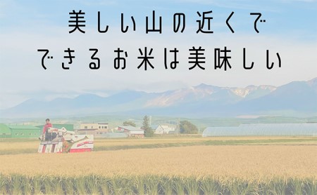 ななつぼし 精米 5kg /北海道 上富良野産 ～It's Our Rice～