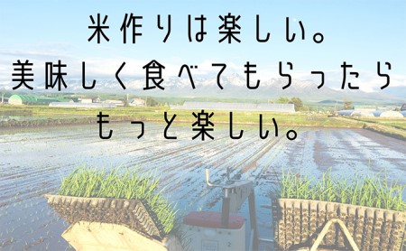 ◆10ヶ月連続定期便◆ななつぼし 玄米 5kg /北海道 上富良野産 ～It's Our Rice～ 