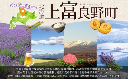 缶ビール(SORACHI1984)＆缶つま詰合せA 北海道 上富良野町 ソラチ1984 地ビール ビール つまみおつまみ 缶詰 缶 サッポロビール サッポロ ギフト 