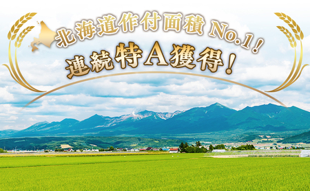 R7年産 ≪3ヶ月定期便≫北海道上富良野町産 【ななつぼし】5kg お米 白米 精米 ライス ご飯 ブランド米 銘柄米 お弁当 おにぎり 北海道産 食卓 産 地直送 複数回 お届け