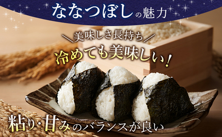 R7年産 ≪3ヶ月定期便≫北海道上富良野町産 【ななつぼし】20kg お米 白米 精米 ライス ご飯 ブランド米 銘柄米 お弁当 おにぎり 北海道産  食卓 産 地直送 複数回 お届け 