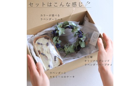 富良野 花七曜 ラベンダー 3点セット ◇ 選べるカラーの ラベンダー