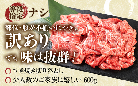 訳あり 飛騨牛 すき焼き用 切落し 600g 切り落とし すき焼き 赤身 肉 牛肉 お肉 和牛 冷凍 岐阜県 部位お任せ 形 不揃い 国産 ブランド牛 17000円 [S544]