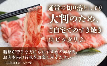 訳あり 飛騨牛 すき焼き用 切落し 600g 切り落とし すき焼き 赤身 肉 牛肉 お肉 和牛 冷凍 岐阜県 部位お任せ 形 不揃い 国産 ブランド牛 17000円 [S544]