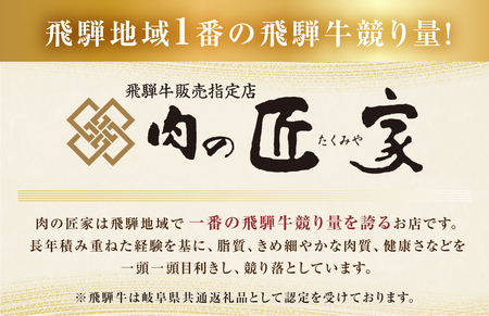 訳あり 飛騨牛 すき焼き用 切落し 600g 切り落とし すき焼き 赤身 肉 牛肉 お肉 和牛 冷凍 岐阜県 部位お任せ 形 不揃い 国産 ブランド牛 17000円 [S544]