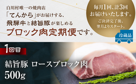 飛騨牛 & 結旨豚 定期便 3回 お届け 白川郷 ブロック 肉 焼肉 焼き肉 やきにく もも ロース 赤身 霜降り 食べ比べ 牛肉 国産 A4 A5 等級 てんから 岐阜県 白川村 ゆいうまぶた 贅沢 BBQ アウトドア 冷蔵 簡易梱包 のため 訳あり 訳アリ 41000円 [S576]