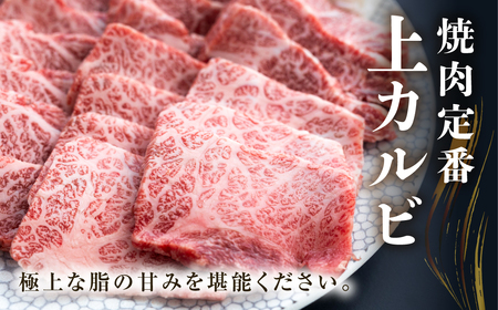 白川郷 飛騨牛 上カルビ 焼肉用 300g 牛肉 国産 焼き肉 霜降り A4等級以上 A4 A5 等級 高山米穀 岐阜県 白川村 贅沢 冷凍 15000円 [S566]