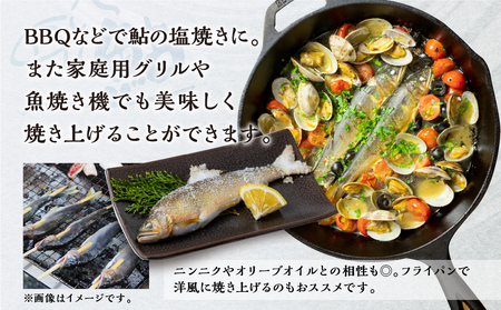 白川村産 飛騨庄川の天然鮎 6尾 18cm以上 訳あり 訳アリ 鮎 天然 あゆ 魚 川魚 岐阜県 白川郷 世界遺産 塩焼き BBQ 10000円 [S594] 年内配送 年内お届け