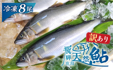 白川村産 飛騨庄川の天然鮎 8尾 18cm以上 訳あり 訳アリ 鮎 天然 あゆ 魚 川魚 岐阜県 白川郷 世界遺産 塩焼き BBQ 15000円 [S595] 年内配送 年内お届け