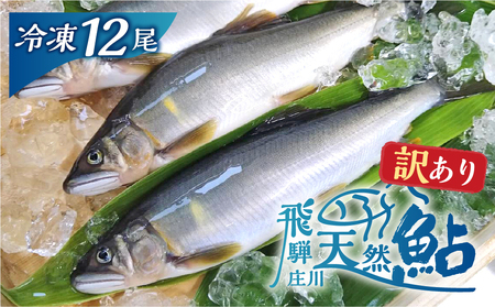 白川村産 飛騨庄川の天然鮎 12尾 18cm以上 訳あり 訳アリ 鮎 天然 あゆ 魚 川魚 岐阜県 白川郷 世界遺産 塩焼き BBQ 20000円 [S596] 年内配送 年内お届け