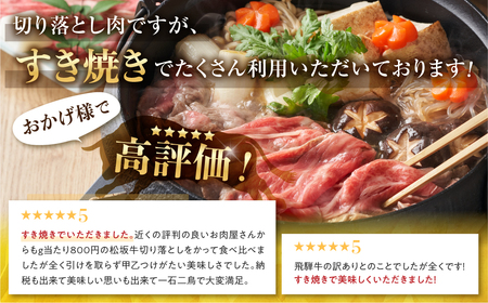 《定期便》飛騨牛 切り落とし 肉 400g ×6回定期便 計2.4kg お届け 定期便 肉づくし 白川郷 しゃぶしゃぶ すき焼き 肉じゃが 60000円 6万円 国産 牛 A4 赤身 霜降りおまかせ 部位バラバラ 不揃い 訳あり 訳アリ 岐阜県 白川村 JAひだ 焼肉 やきにく [S630]