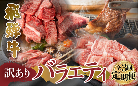 【 定期便 】 訳あり 飛騨牛 バラエティ 3回 計1.9kg すき焼き 焼肉 切り落とし 赤身 霜降り 部位おまかせ 肉 牛肉 お肉 和牛 冷凍 岐阜県 等級 お任せ 炒め物 牛丼 カレー キャンプ アウトドア 国産 不揃い ブランド牛 48000円 [S608]