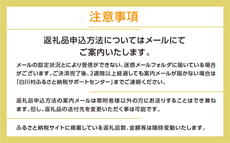 ＼あとから選べる ／オンラインカタログ あとからチョイス 1000万円 10000000円 有効期限なし 後から選べる 飛騨牛 結旨豚 肉 総菜 スイーツ 工芸品 お米 特産品 宿泊 食事券 体験 チケット お酒 岐阜県白川村 世界遺産 白川郷 無期限 S688