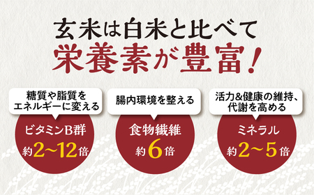 白川村産 寝かせ玄米もち麦ごはん 8個 パックごはん パックご飯 パックライス レトルト 白川郷 こしひかり コシヒカリ 常温 防災 こめ コメ 新生活 応援 こだわりの お米 岐阜県 飛騨 高山米穀 10000円[S700]