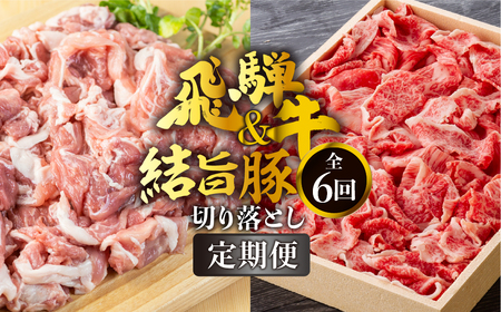 《定期便》全6回 飛騨牛 切り落とし 500g 結旨豚 切り落とし 1.5kg セット 訳あり 等級 部位お任せ 牛 豚 食べ比べ 真空パック 小分け スライス 和牛 牛肉 豚肉 国産 ブランド和牛ブランド豚 飛騨 白川村 白川郷 わけあり 150000円 [S724]