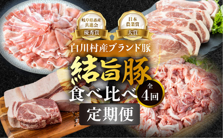 豚肉 定期便 全4回 白川郷 豚 定期便