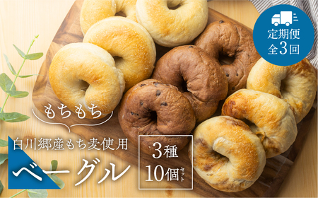 定期便3回お届け 白川郷産 もち麦使用 ベーグル3種（プレーン チョコ メープル ）10個セット アオイロ・ベーグル もちもち ベーグル 国産 小麦 もち麦 使用 冷凍 個包装 アオイロ・カフェ 岐阜県 白川村 白川郷 世界遺産 手作り パン 食べ比べ 36000円 [S791]