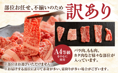 訳あり 飛騨牛 焼肉用 500g 切り落とし 牛肉 肉 バーベキュー セット 和牛 焼き肉 訳アリ 部位おまかせ ウデ バラ モモ肉 14000円 [S811] 年内配送 年内お届け