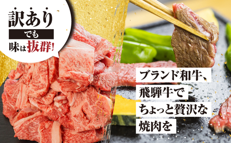 訳あり 飛騨牛 焼肉用 500g 切り落とし 牛肉 肉 バーベキュー セット 和牛 焼き肉 訳アリ 部位おまかせ ウデ バラ モモ肉 14000円 [S811] 年内配送 年内お届け