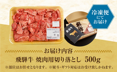 訳あり 飛騨牛 焼肉用 500g 切り落とし 牛肉 肉 バーベキュー セット 和牛 焼き肉 訳アリ 部位おまかせ ウデ バラ モモ肉 14000円 [S811] 年内配送 年内お届け