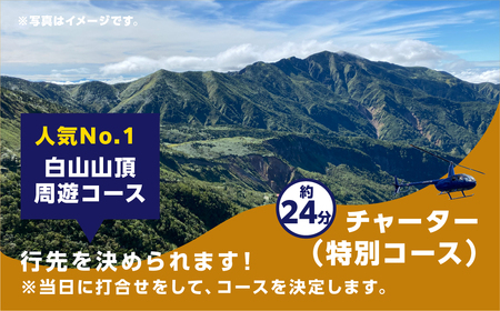 白川郷 ヘリコプター 遊覧飛行 チケット チャーター 特別コース 1～3名様分 旅行券 旅行 自然 クルーズ クルージング 体験 記念日 プレゼント GW 夏休み 連休 紅葉 ペアチケット 岐阜県 白川村 世界遺産 観光 観光地応援 334000円 [S810]