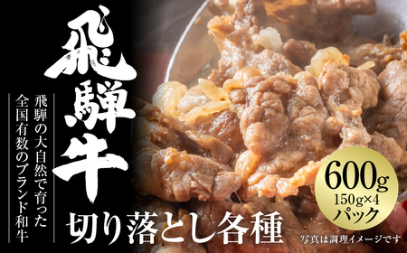 飛騨牛 切落とし 600g（約150g×4パック） 冷凍真空パック | 肉 お肉 すき焼き すきやき しゃぶしゃぶ 黒毛和牛 和牛 個包装 小分け 人気 おすすめ 牛肉 ギフト お取り寄せ[MZ001]