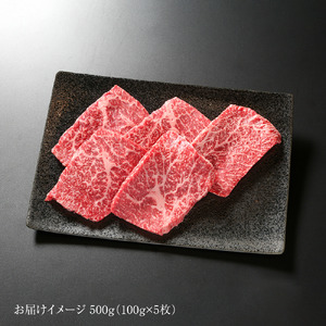 飛騨牛 赤身ステーキ 500g（100g×5） 冷凍真空パック | 肉 お肉 モモ肉 ステーキ 黒毛和牛 和牛 人気 おすすめ 牛肉 ギフト お取り寄せ 7日以内お届け[MZ027] 年内配送 年内お届け