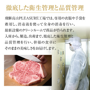 飛騨牛 赤身ステーキ 500g（100g×5） 冷凍真空パック | 肉 お肉 モモ肉 ステーキ 黒毛和牛 和牛 人気 おすすめ 牛肉 ギフト お取り寄せ 7日以内お届け[MZ027] 年内配送 年内お届け