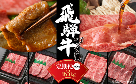 【定期便】飛騨牛 全5回 計3kg  飛騨高山ミート 定期便 [MZ100]