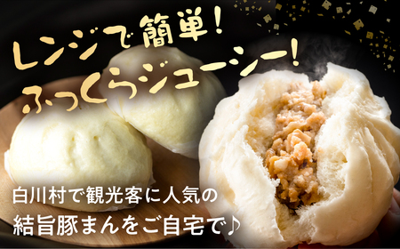 訳あり 結旨豚 豚まん 5個入り 国産豚使用 肉まん 豚まんじゅう ぶたまん 中華まん ゆいうまぶた 簡易包装 白川村 結旨豚 ブランド豚 おやつ 総菜 簡単 6000円 [S915] 