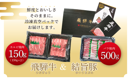 飛騨牛 結旨豚 焼肉 食べ比べ セット 計800g 飛騨牛 カルビ焼肉 300g 結旨豚 バラ焼肉 500g 冷凍真空パック | 肉 お肉 黒毛和牛 和牛 人気 おすすめ 牛肉 豚肉 ギフト お取り寄せ 15000円【MS019】