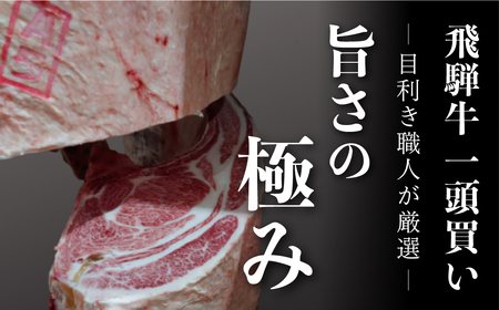 飛騨牛切り落し250g×4p [s933]