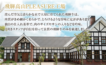 【ふるなびWEEK対象】飛騨牛 定期便 おすすめ全3回 定期便　FN-Limited-PR