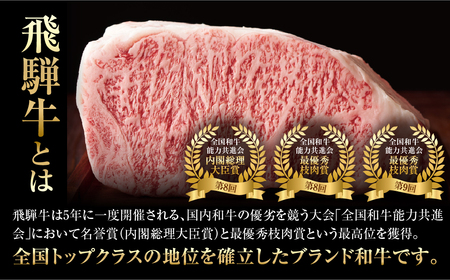 【ふるなびWEEK対象】飛騨牛 定期便 おすすめ全3回 定期便　FN-Limited-PR