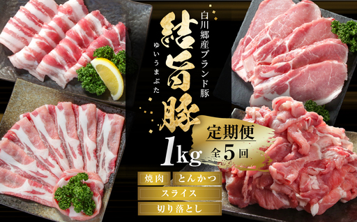 《定期便》全5回 結旨豚（焼肉・しゃぶしゃぶ・切り落とし）1kg×5か月 冷凍真空パック | 肉 お肉 豚肉 国産 食べ比べ セット 白川郷 岐阜県 白川村 ブランド豚 人気 おすすめ ギフト 飛騨高山ミート 53000円