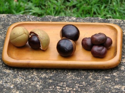 【ふるなびWEEK対象】杵づき白川郷のとちもち Aセット 栃もち 餅 白川郷合掌造り民家園 焼餅 ぜんざい 雑煮 岐阜県 白川村 ギフト 贈答用 11000円 [S055]2025年12月～順次発送　FN-Limited-PR